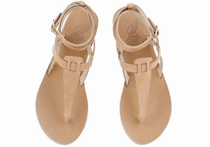 Sandales Bride Cheville Ancient Greek Sandals Estia Leather   | JCX-3280346